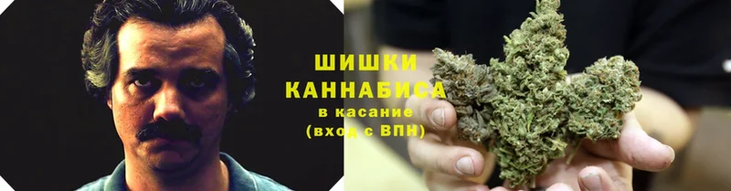 купить наркоту  Егорьевск  Конопля White Widow 